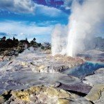 Geyser Rotorua